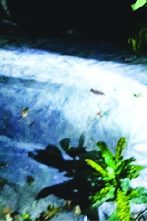 Image of মো: এমদাদুল হক